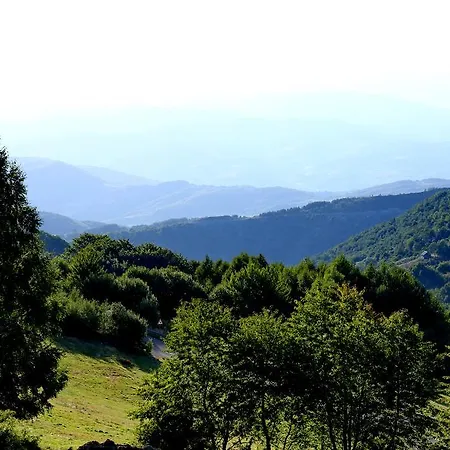 דירה Astoria Lux - K16 Milmari קופאוניק