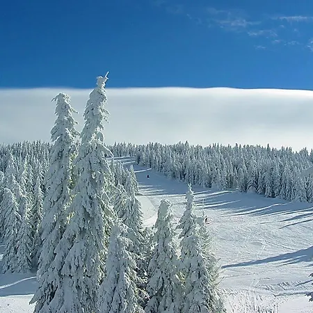 Astoria Lux - K16 Milmari קופאוניק