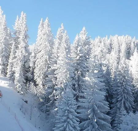 דירה Astoria Lux - K16 Milmari