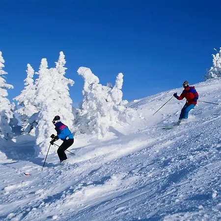 דירה Astoria Lux - K16 Milmari קופאוניק