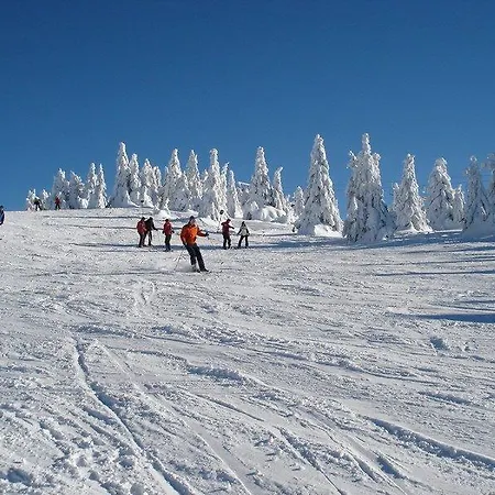 Astoria Lux - K16 Milmari קופאוניק