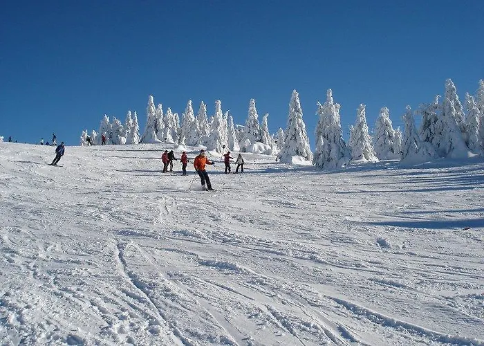 Astoria Lux - K16 Milmari コパオニク